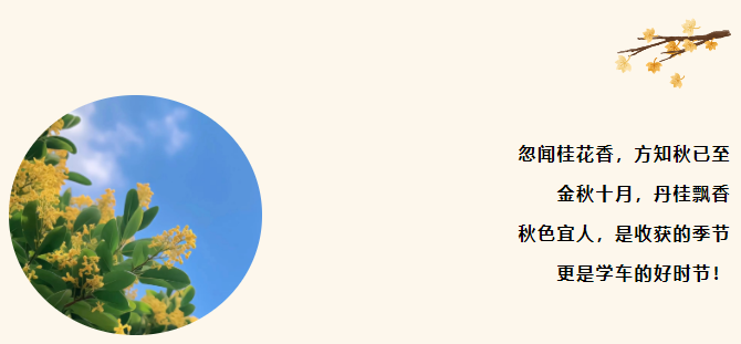 1698299742490494.png image.png